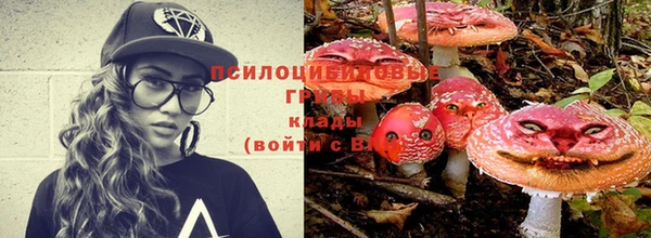 соль курить ск Няндома