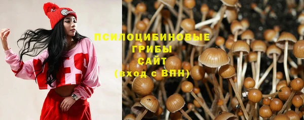 амф Нязепетровск